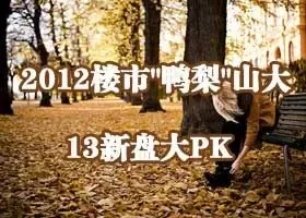 2012楼市"鸭梨"山大 13新盘大PK