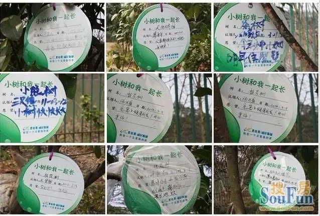 献绿色爱心 碧桂园威尼斯城第三届岛主植树节|搜房地产资讯