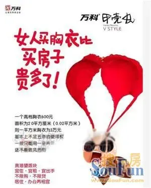 合肥地产广告出位:女人<em>胸衣比</em>房子还贵|搜房地