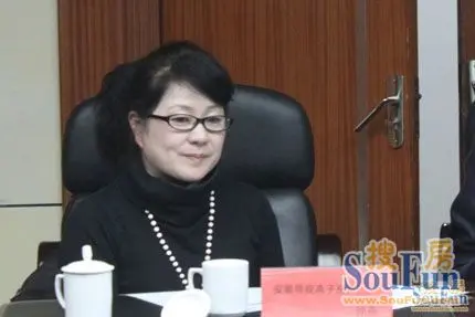 孙燕:价格和价值同等重要 开放商要注重品质