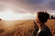 ��ɹ�������ɹ���