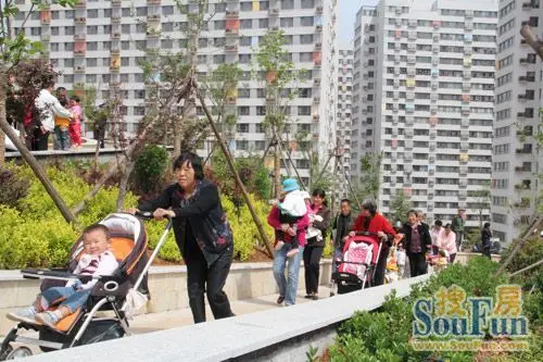 阳光100刘长山公园盛大开放-土地资讯-中国土