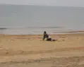 ��̨������