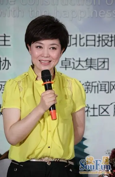 河北电视台主持人王颖