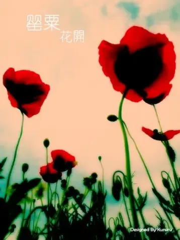 2012年国际禁毒日的主题是:抵制毒品,参与禁