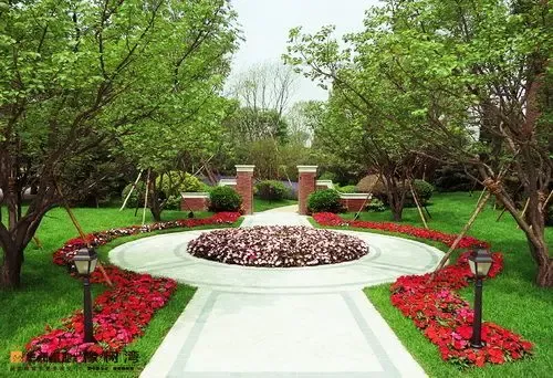 【搜房在现场】华润·橡树湾浪漫婚纱摄影节-