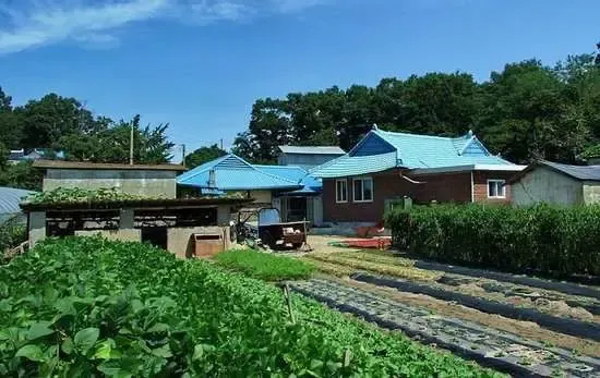 实拍韩国农村房子与韩剧反差太大(图)-海外房产快讯-搜房海外