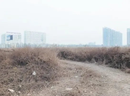 领导曝邢台开发区负债40多亿 土地新政 违法|搜