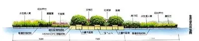 三個生態浮島扮靚南湖公園水域部分