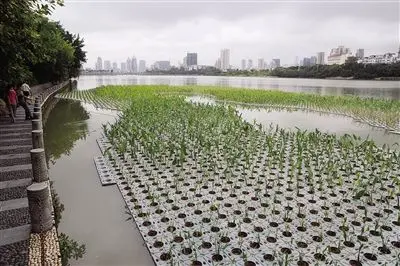 三個生態浮島扮靚南湖公園水域部分