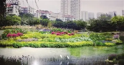 三個生態浮島扮靚南湖公園水域部分