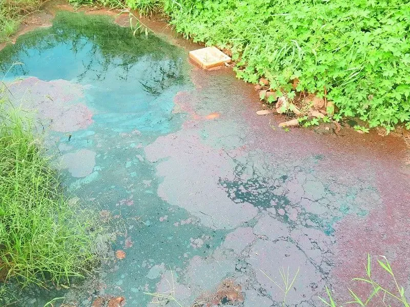 拯救母亲河 滹沱河污染现状调查_房产资讯-石家庄搜房网