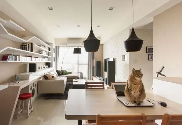 和喵星人同居的日子:装修也要让猫咪住的开心