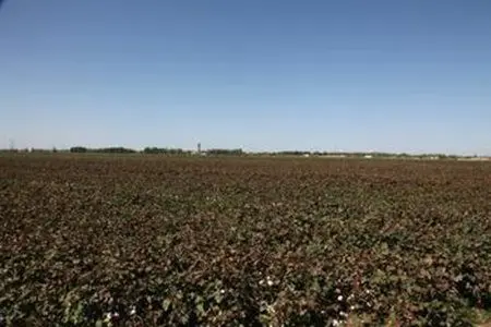 农村土地转让租赁合同如何拟定?内容有哪些?