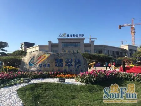 碧桂园翡翠湾11月30日盛大开盘 3小时劲销5亿