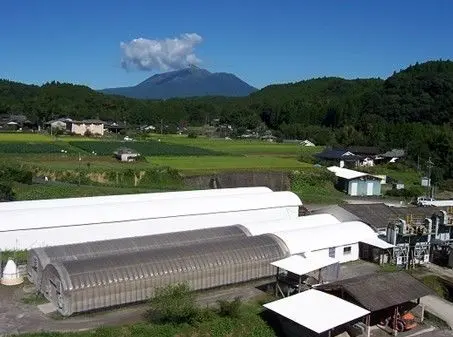 大津壁喜莱-火山送给人类的神秘礼物 -涂料