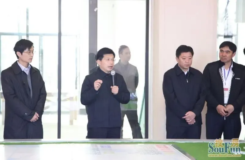 孝感领导莅临楚霖鼎观世界指导工作