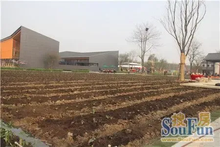 国内首个田园综合体开园 东方田园绽放无限魅