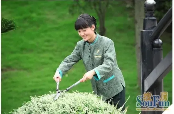 碧桂园清泉城尊享私管物业 守护爱心家园