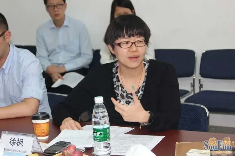 <em>徐枫</em>:深圳购买力难撬动 二季度房价不可能下降