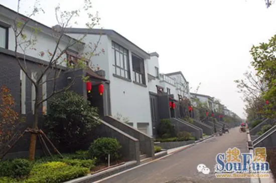 原创新亚洲洋房,臻藏别墅体验 建业联盟新城由素有"建筑界的诺贝尔"
