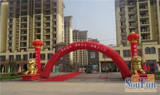 汤阴建业·森林半岛首次交房圆满落幕!
