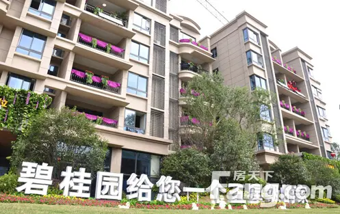 徐州碧桂园"奔跑 宝贝"大型亲子活动火热举行