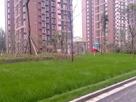 环评\/厂房验收\/3同时\/消防验收 \/应先办理那个,