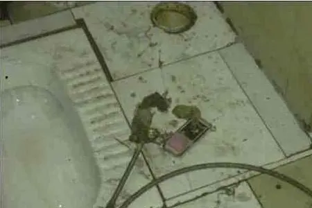 厕所下水道堵塞怎么疏通?厕所下水道堵塞原因?