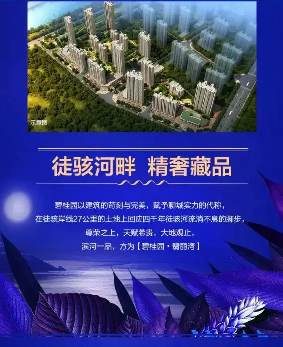【发现城市新高度】3.25日聊城碧桂园·翡丽湾展厅荣耀盛放