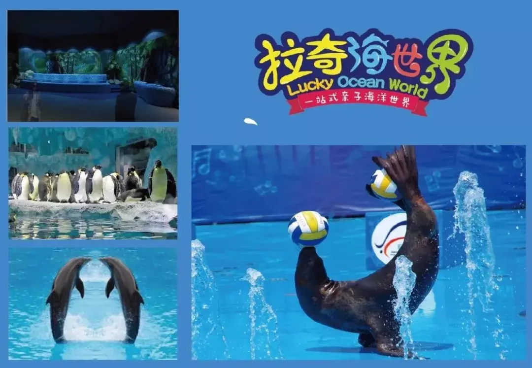 衡阳内陆海洋馆—拉奇海世界 6月2日盛大开业!