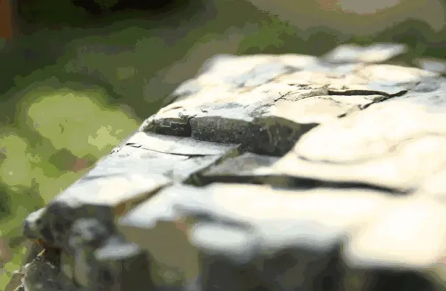 wx_fmt=gif&tp=webp&wxfrom=5&wx_lazy=1