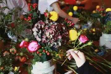 浪漫七夕●相约御湖 |