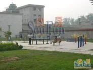 ���껨��һ��С��ʵ��