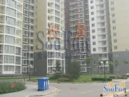 ���껨��һ��С��ʵ��