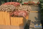 The houseר�ҹ��ʻ�԰�����-�ſ�