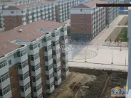������ʵ��ͼ