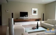 ά�����ǻ�԰��Ԣ���������