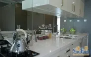 ά�����ǻ�԰��Ԣ���������