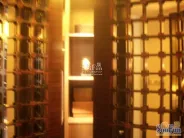 ��԰1872�������Ƭ