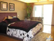 �����﹫Ԣ�����