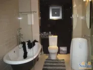 �����﹫Ԣ�����