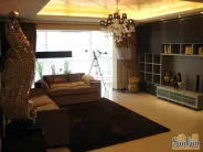 �����﹫Ԣ�����