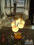 �齭�¹�˹���ǰ������-����
