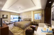 ׿�����