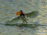 ����ɽׯʵ��ͼ