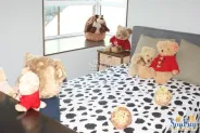 ������԰��Ԣ���������
