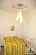 �����³������