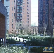 ��ׯ����С��ʵ��
