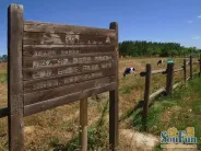 �������ʵ��ͼ